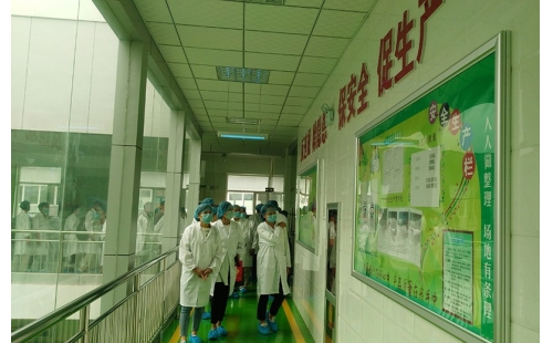 值公司成立十周年慶典，公司贊助萬名老人免費游寧夏系列活動