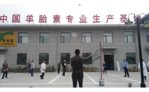 排球傳溫情，員工齊聚心