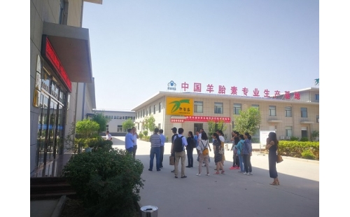 江南大學(xué)、寧夏大學(xué)課題組專家蒞臨伊百盛調(diào)研交流