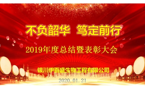 “不負(fù)韶華，篤定前行”2019總結(jié)表彰暨新春年會圓滿成功！